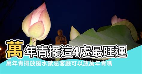 白玉萬年青風水|萬年青擺這4處最旺運 犯1禁忌恐使家人破財